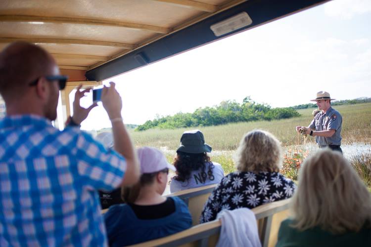 Evergladers - Shark Valley tour in the Florida Everglades