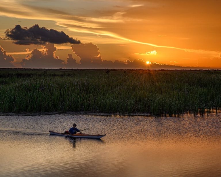 Kayaking in the Florida Everglades