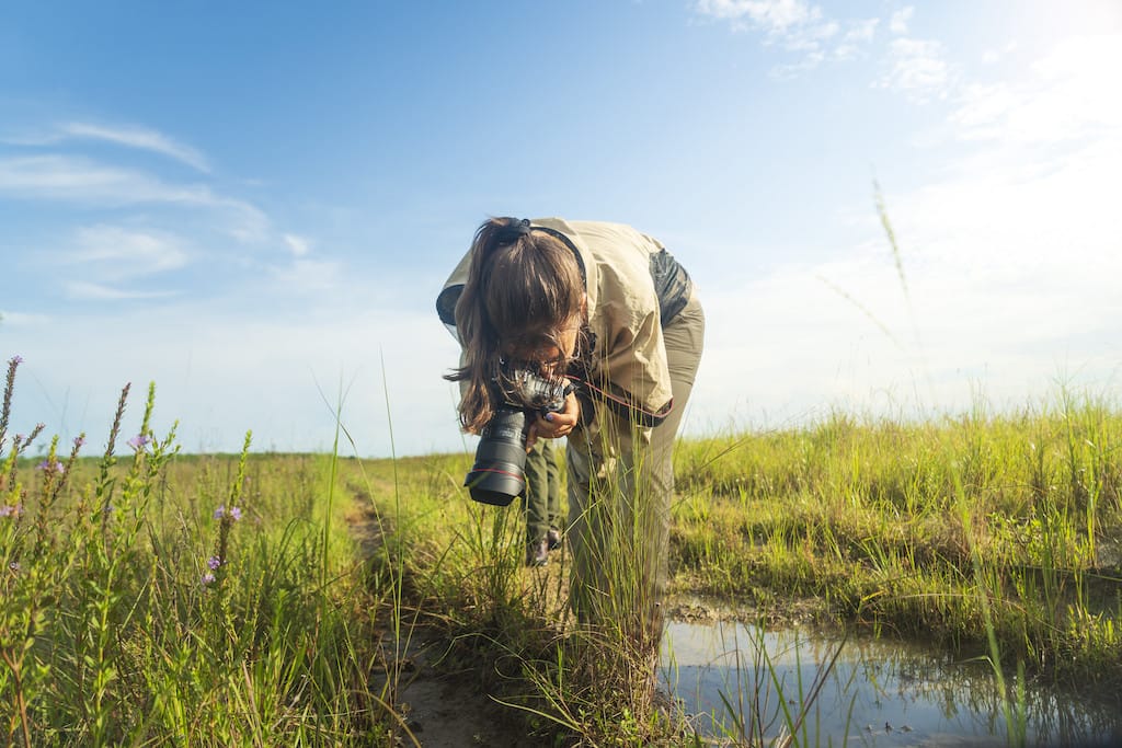 Everglader national park ranger photographing the Florida Everglades wetlands